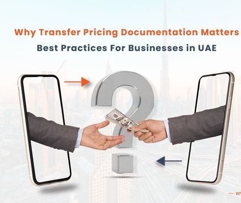 Transfer Pricing Documentation Best Practices For Businesses in UAE